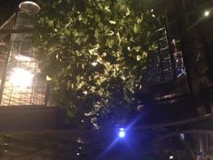 iphone_upload_pic-胡桃里乐队酒馆(鎏嘉码头店)