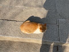 -崂山巨峰游览区