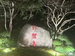 -野狸岛