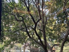 -浙江西子宾馆·瑶园咖啡厅