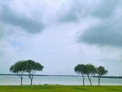 -漕湖湿地公园