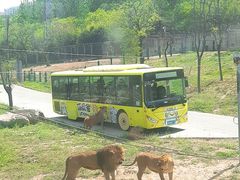 -西安秦岭野生动物园