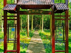 -东平国家森林公园