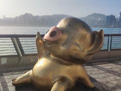 -星光大道