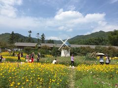 -宁波浙东大竹海景区