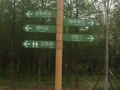 -上海浦江郊野公园-2号停车场