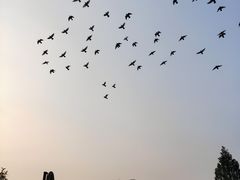 -素心小筑(后沙裕镇店)