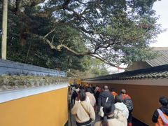 -普陀山风景区-佛顶山