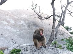 -崂山仰口游览区