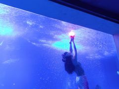 -太平洋海底世界