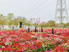 -盈香心动乐园