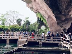 -蛇蟠岛