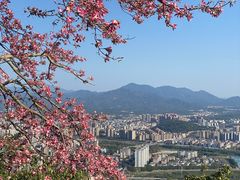 -风云岭森林公园