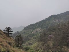 -木兰云雾山