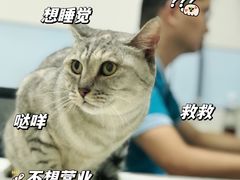 -中农国际动物医院24小时·猫科·骨科·急重症中心