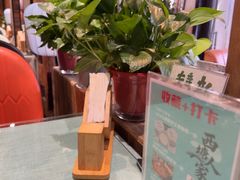 -西塘人家•黑金冠本地好店