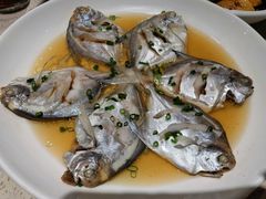 清蒸小鲳鱼-阿莉餐厅(枣阳路店)