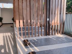 -明谷行馆·温泉