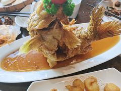 糖醋鲤鱼-老牌坊鲁菜名店(宽厚里店)