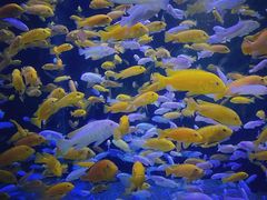 -成都浩海立方海洋公园