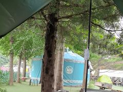 -尚庄度假村·庭台树下·户外烧烤·团建CS·轰趴营地(上庄水库店)