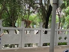 -御轩足道·SPA·养生·保健(瑞金北路店)