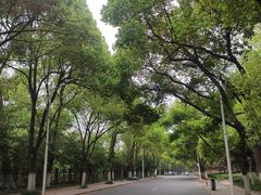 -镇江市南山风景名胜区竹林景区