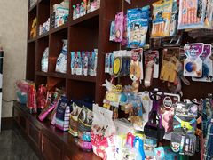 -宠爱国际动物医院· 猫科· 外科·中兽医(长白店)