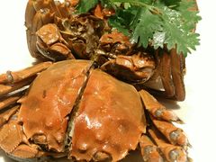 -童福兴·南京菜(老门东店)