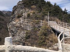 -牛背梁国家森林公园