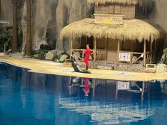 -太平洋海底世界