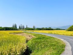 -良渚古城遗址公园