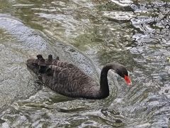 -水磨沟公园
