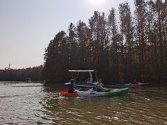 -上海海湾国家森林公园