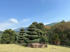 -深圳仙湖植物园