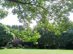 -上海共青森林公园