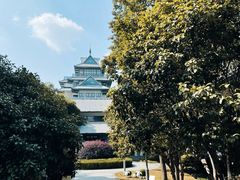 -金鸡湖桃花岛