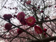 -汉口江滩-五福广场
