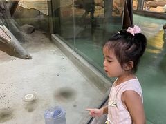 -苏州海洋馆