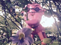 IBERRY-莓园冰淇淋店