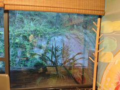 -恬阿姨庭院餐厅·生日宴