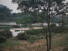 -华侨城湿地公园