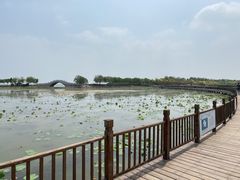 -天津东丽湖风景区