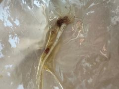 -闫家驴肉老店(华电一校店)