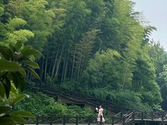 -宝岩生态观光园