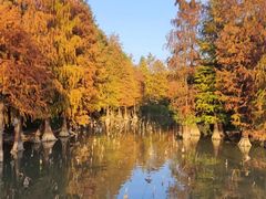 -海珠湖公园