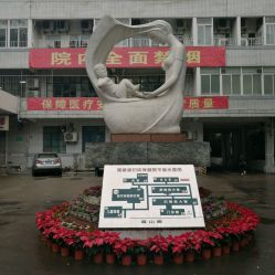 -福建省妇幼保健院(道山路院区)