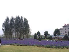 iphone_upload_pic-云幽谷旅游区