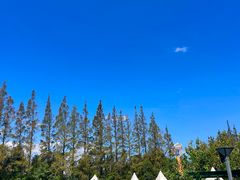 -前小桔亲子创意农场·草莓采摘·露营烧烤