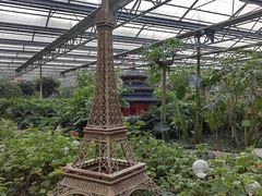 -南宫五洲植物乐园